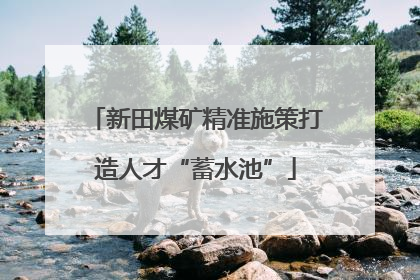新田煤矿精准施策打造人才“蓄水池”
