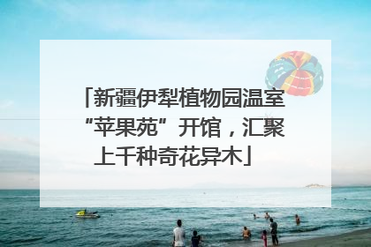 新疆伊犁植物园温室“苹果苑”开馆，汇聚上千种奇花异木