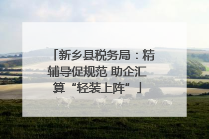 新乡县税务局：精辅导促规范 助企汇算“轻装上阵”