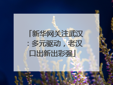 新华网关注武汉：多元驱动，老汉口出新出彩强