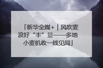新华全媒+｜风吹麦浪好“丰”景——多地小麦机收一线见闻