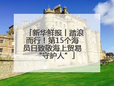 新华鲜报丨踏浪而行！第15个海员日致敬海上贸易“守护人”