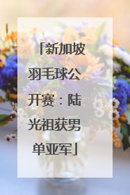 新加坡羽毛球公开赛：陆光祖获男单亚军