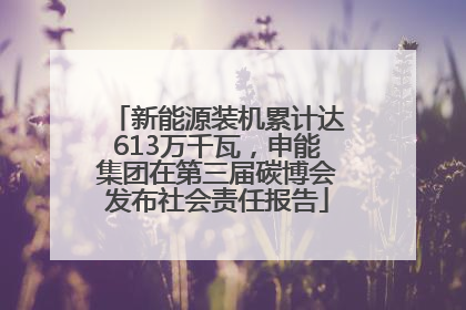 新能源装机累计达613万千瓦，申能集团在第三届碳博会发布社会责任报告