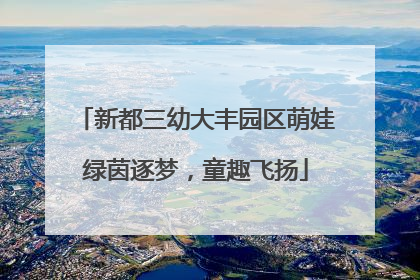 新都三幼大丰园区萌娃绿茵逐梦，童趣飞扬