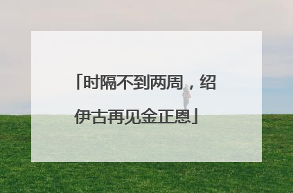 时隔不到两周，绍伊古再见金正恩