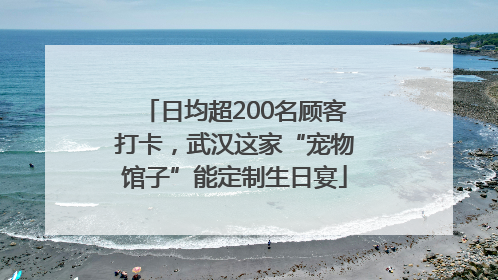 日均超200名顾客打卡，武汉这家“宠物馆子”能定制生日宴