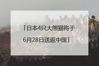 日本4只大熊猫将于6月28日送返中国