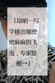昆明一写字楼出现密密麻麻的飞虫，专家提醒→