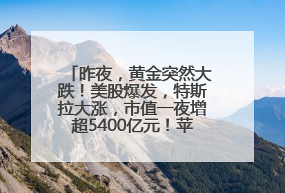 昨夜，黄金突然大跌！美股爆发，特斯拉大涨，市值一夜增超5400亿元！苹果传来大消息