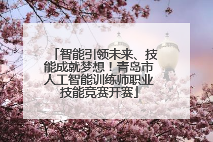 智能引领未来、技能成就梦想！青岛市人工智能训练师职业技能竞赛开赛