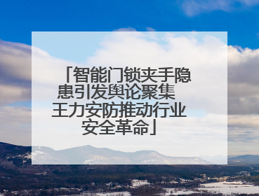 智能门锁夹手隐患引发舆论聚集 王力安防推动行业安全革命