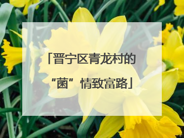 晋宁区青龙村的“菌”情致富路