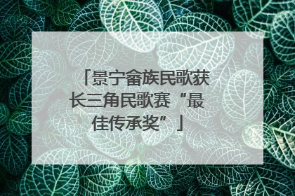 景宁畲族民歌获长三角民歌赛“最佳传承奖”