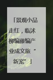 景观小品走红，临沭柳编藤编产业成文旅“新宠”