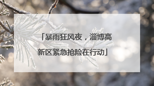 暴雨狂风夜，淄博高新区紧急抢险在行动