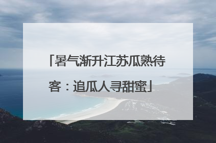 暑气渐升江苏瓜熟待客：追瓜人寻甜蜜