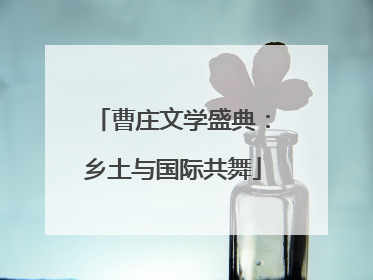 曹庄文学盛典：乡土与国际共舞