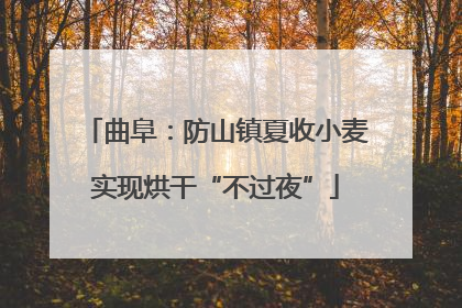 曲阜：防山镇夏收小麦实现烘干“不过夜”
