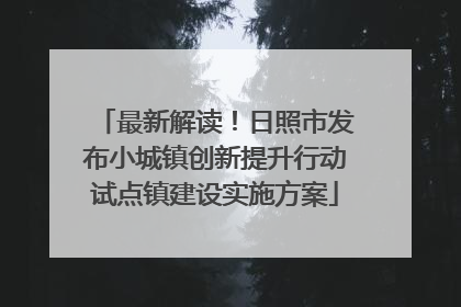 最新解读！日照市发布小城镇创新提升行动试点镇建设实施方案