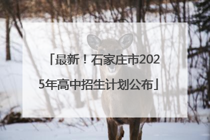 最新！石家庄市2025年高中招生计划公布