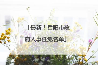 最新！岳阳市政府人事任免名单