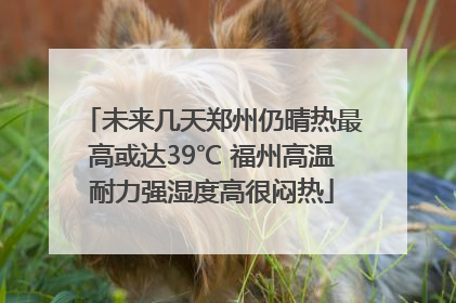 未来几天郑州仍晴热最高或达39℃ 福州高温耐力强湿度高很闷热