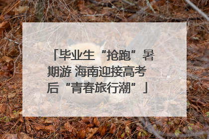 毕业生“抢跑”暑期游 海南迎接高考后“青春旅行潮”