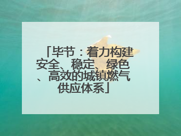 毕节：着力构建安全、稳定、绿色、高效的城镇燃气供应体系