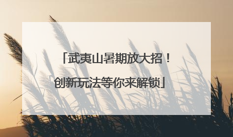 武夷山暑期放大招！创新玩法等你来解锁