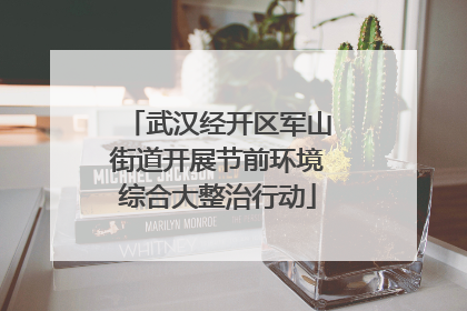 武汉经开区军山街道开展节前环境综合大整治行动