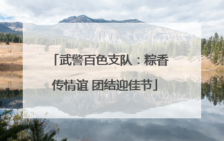武警百色支队：粽香传情谊 团结迎佳节