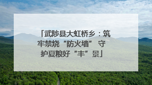 武陟县大虹桥乡：筑牢禁烧“防火墙” 守护夏粮好“丰”景