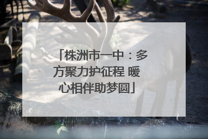株洲市一中：多方聚力护征程 暖心相伴助梦圆