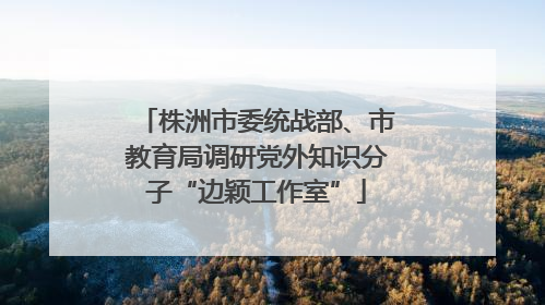 株洲市委统战部、市教育局调研党外知识分子“边颖工作室”