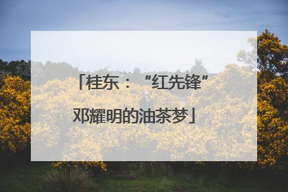 桂东：“红先锋”邓耀明的油茶梦