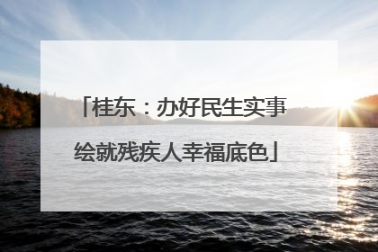桂东：办好民生实事 绘就残疾人幸福底色