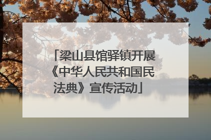 梁山县馆驿镇开展《中华人民共和国民法典》宣传活动