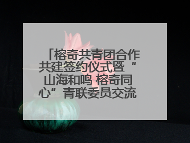 榕奇共青团合作共建签约仪式暨“山海和鸣 榕奇同心”青联委员交流交往交融活动在福州举行