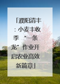 濮阳清丰：小麦丰收季 “一条龙”作业开启农业高效新篇章