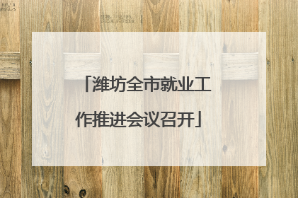 潍坊全市就业工作推进会议召开