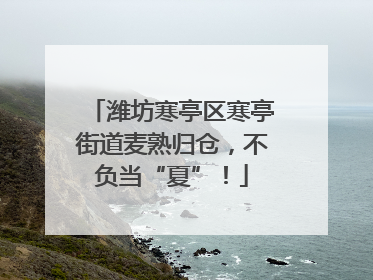 潍坊寒亭区寒亭街道麦熟归仓，不负当“夏”！