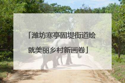 潍坊寒亭固堤街道绘就美丽乡村新画卷