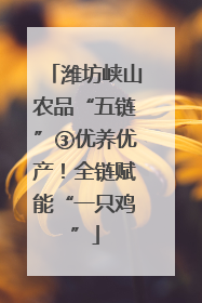 潍坊峡山农品“五链”③优养优产！全链赋能“一只鸡”