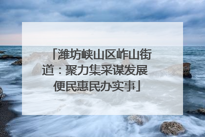 潍坊峡山区岞山街道：聚力集采谋发展 便民惠民办实事