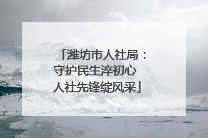 潍坊市人社局：守护民生淬初心 人社先锋绽风采