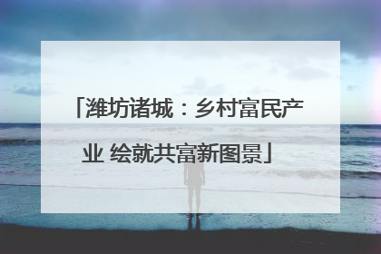潍坊诸城：乡村富民产业 绘就共富新图景