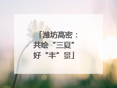 潍坊高密：共绘“三夏”好“丰”景