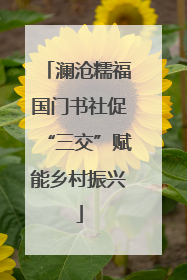 澜沧糯福国门书社促“三交”赋能乡村振兴