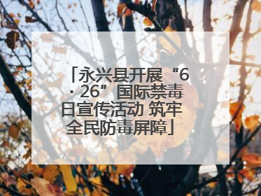 永兴县开展“6・26”国际禁毒日宣传活动 筑牢全民防毒屏障